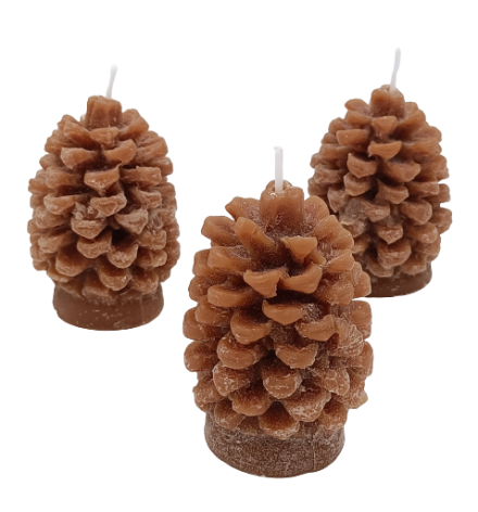 Pine fruit Décor Candle